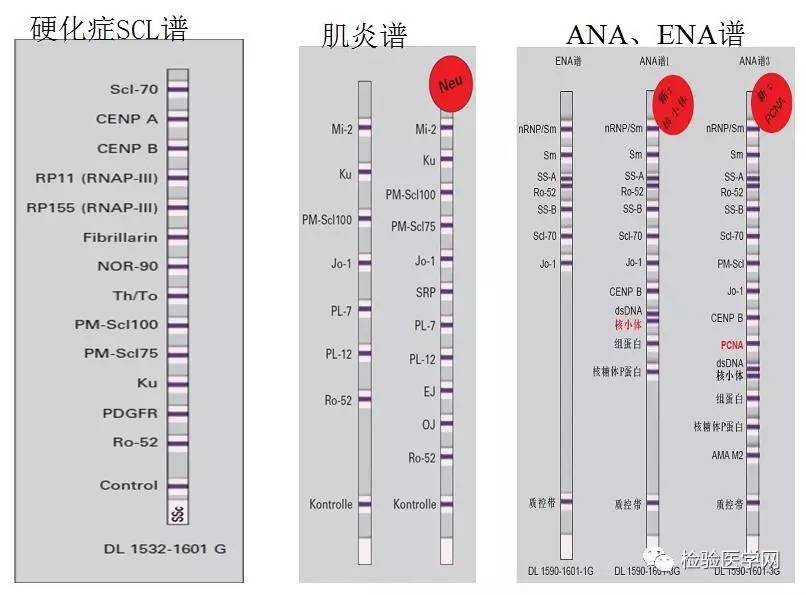 懂你曲谱动态谱_你懂的(2)