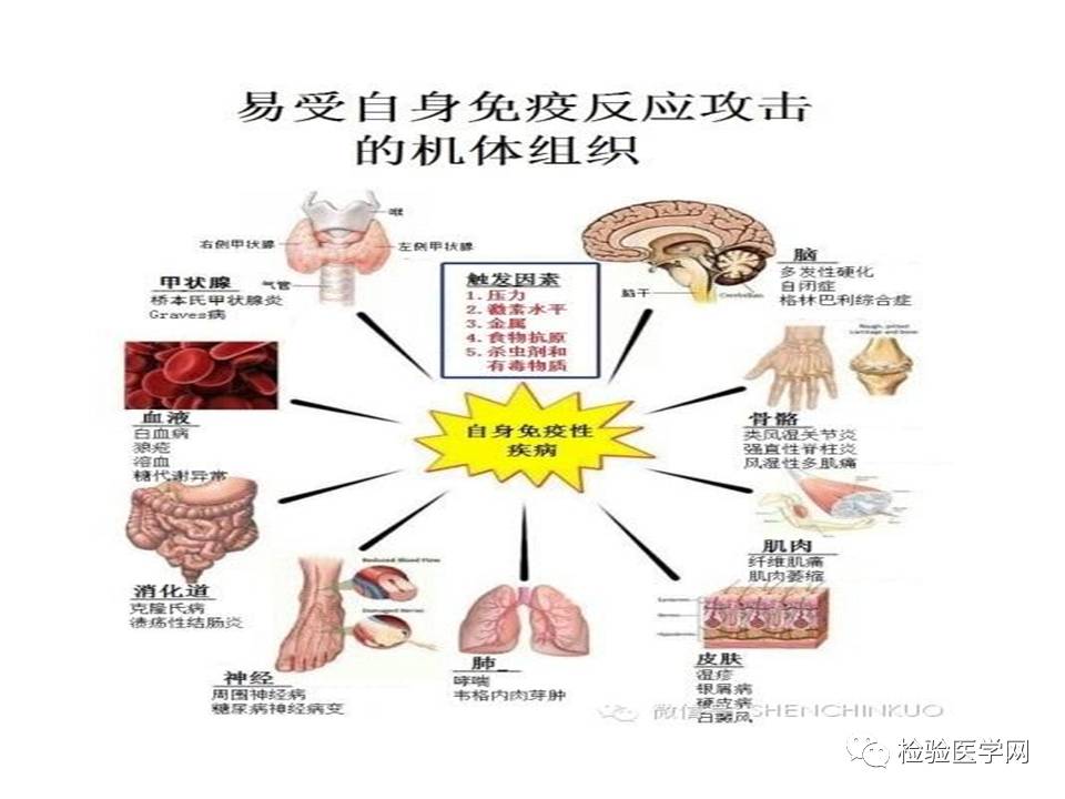 懂你曲谱动态谱_你懂的(2)