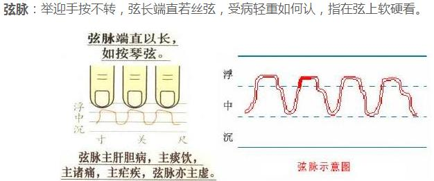 疾脉缓脉滑脉洪脉革脉(私信bigu19)浮脉类浮脉伏脉短脉代脉促脉迟脉类