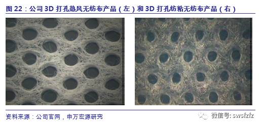 【申万宏源纺服】延江股份(300658)新股分析：跻身国际龙头供应链体系，延续业绩高速增长