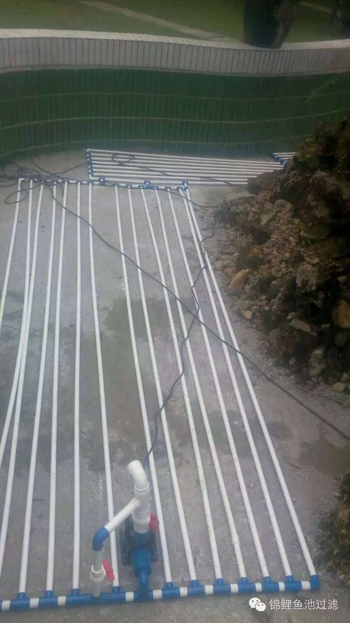 (底部生物净化)永州电力局80平方锦鲤鱼池施工全过程