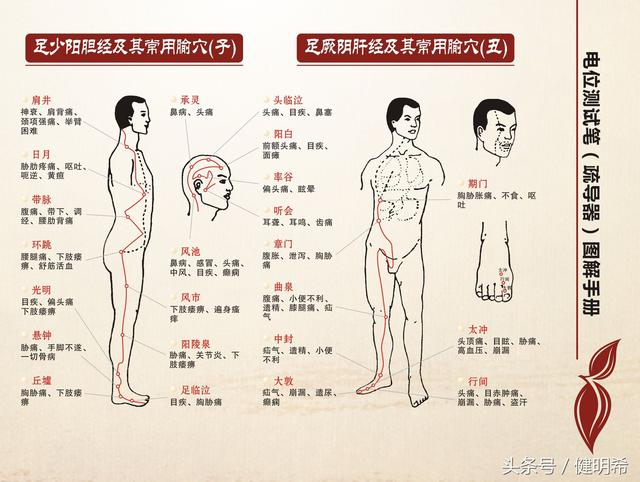 夏季做电疗调理是根除一切疾病根源的好时机