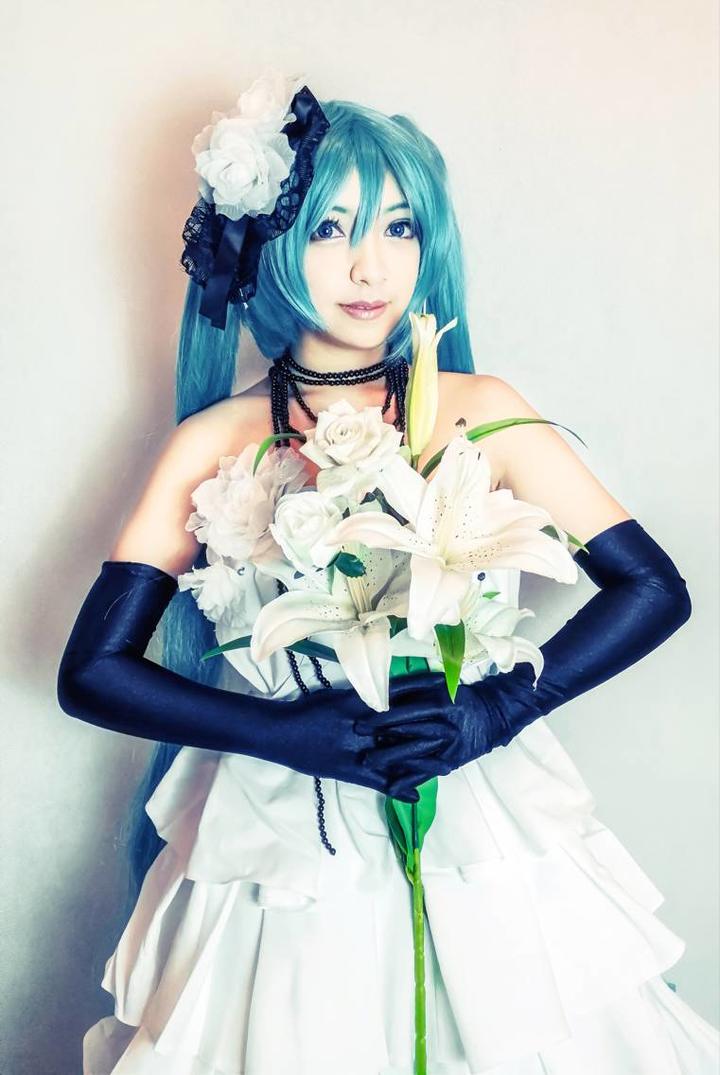 tya事务所 莫樱 山茶花初音miku cosplay