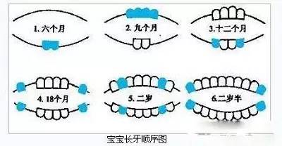 知道了维生素d才是宝宝牙齿健康成长的基石,那宝爸宝妈们一定要问了