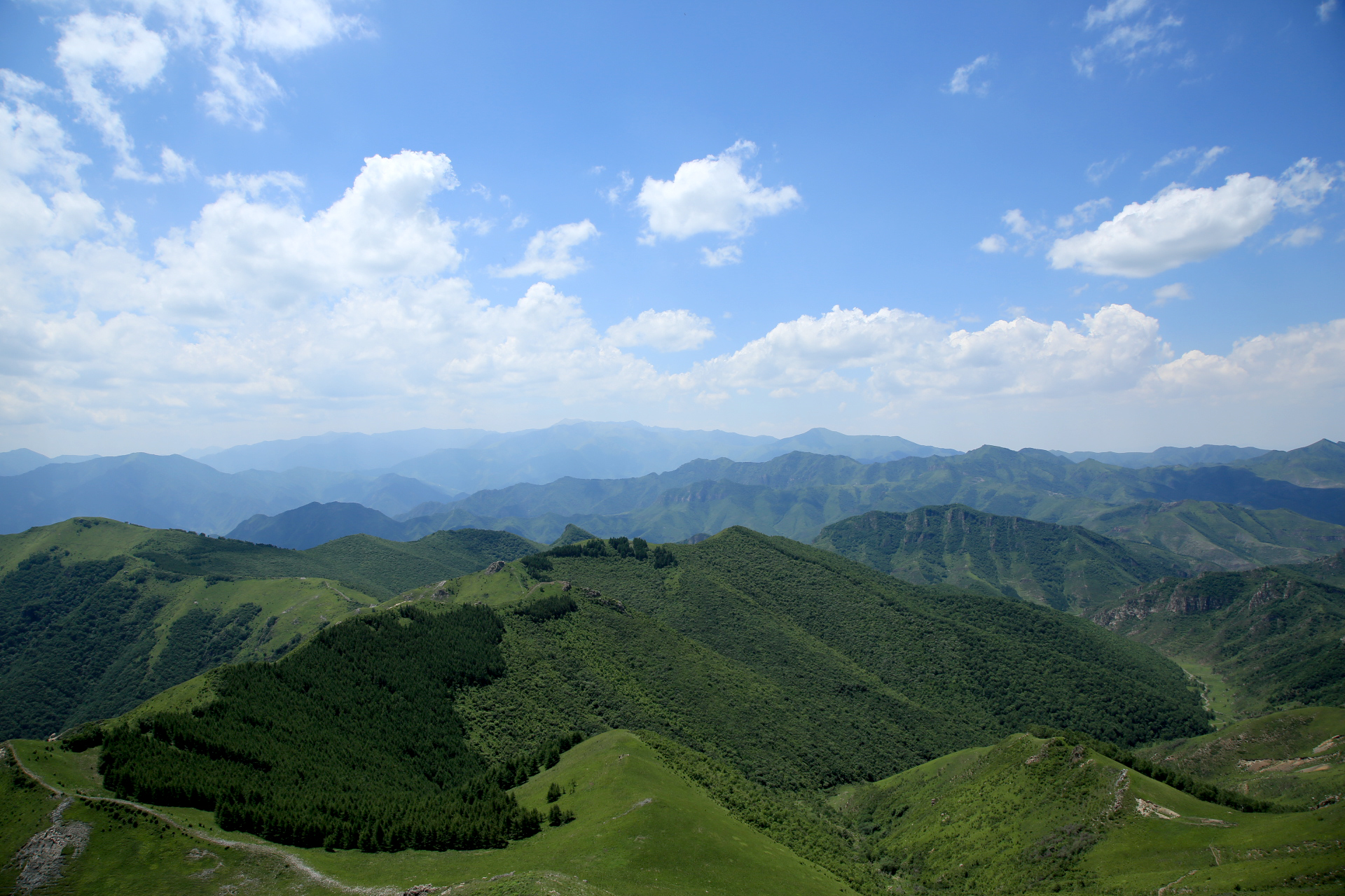 北京周边最美的山——西灵山,高山草甸花开