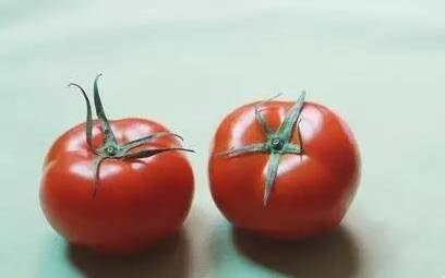 原来番茄和它才是绝配，降血压、抗衰老，营养翻倍！