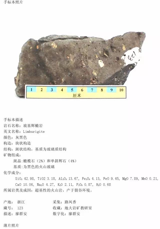 掌握你就是专家三大岩类213种岩石薄片手标本对照合集