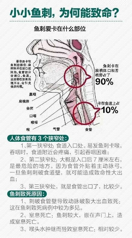 就吃了块肉,扬州大爷进了医院,医生看了都摇头