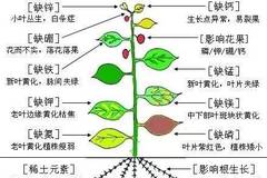 超详细的植物病害分类及配方用药,值得收藏