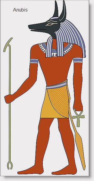 古埃及有一位神,叫阿努比斯神,他长着一个胡狼的头,也有人叫它胡狼神