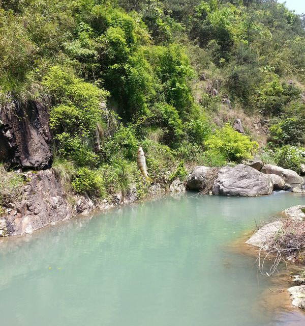 旅游 正文  鳌江墨城龙潭,身处古盘山腹地.未深入其间,就可感知绿意.