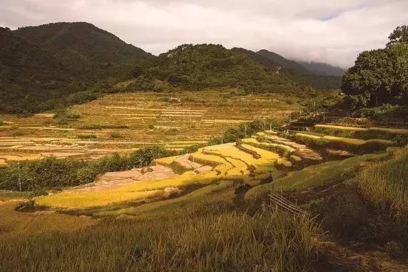 广西灵山县乐民镇有多少人口_广西灵山县檀圩镇图片