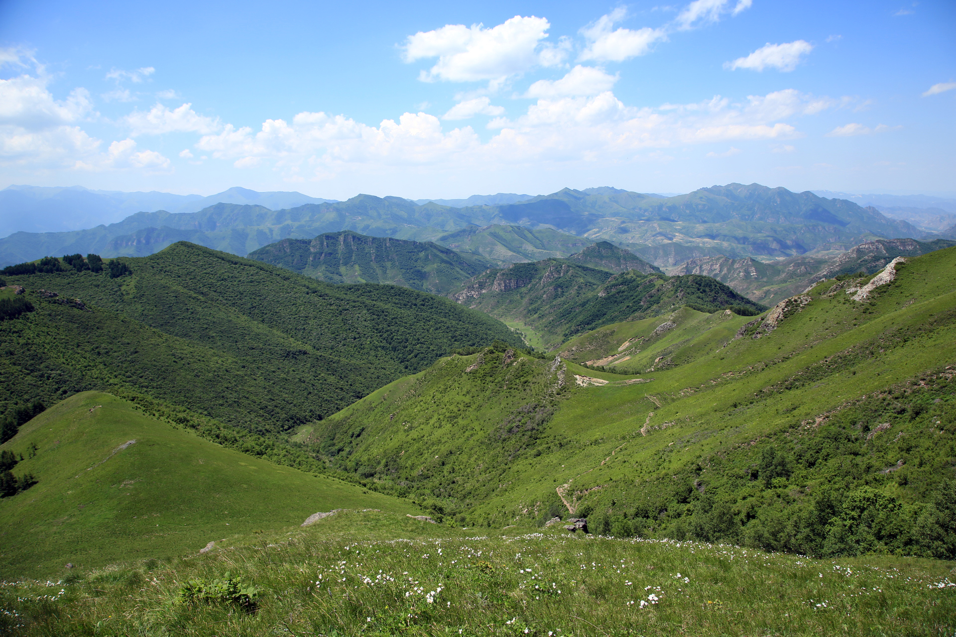 北京周边最美的山——西灵山,高山草甸花开