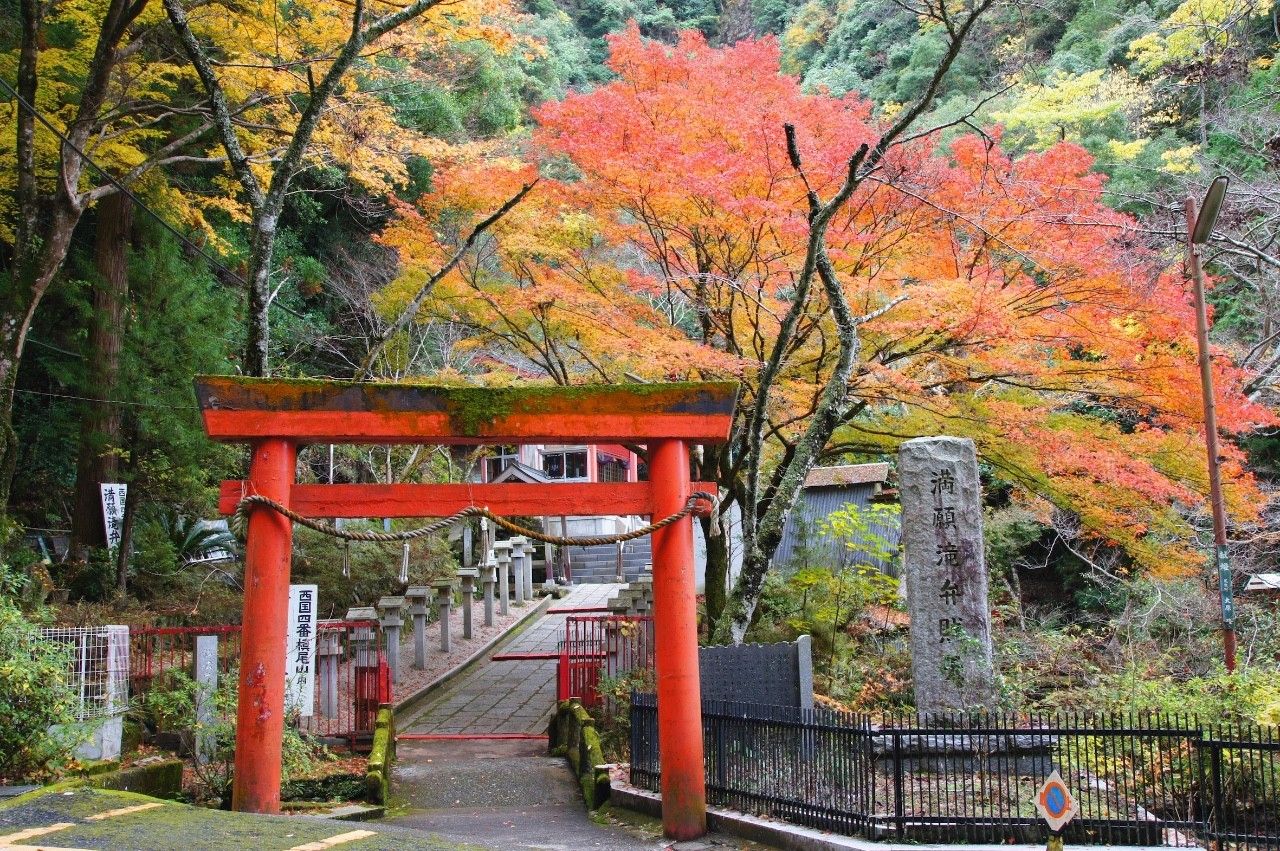 在都是人人人人人的日本,这有一个集齐森林,古道,神社