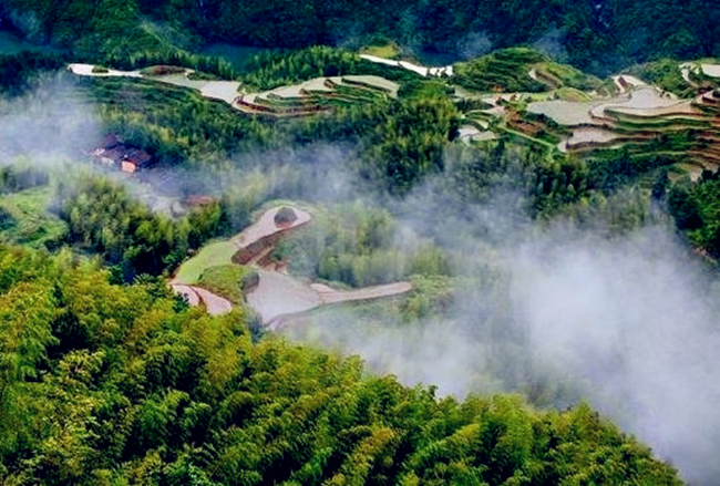 乌岩岭国家自然保护区