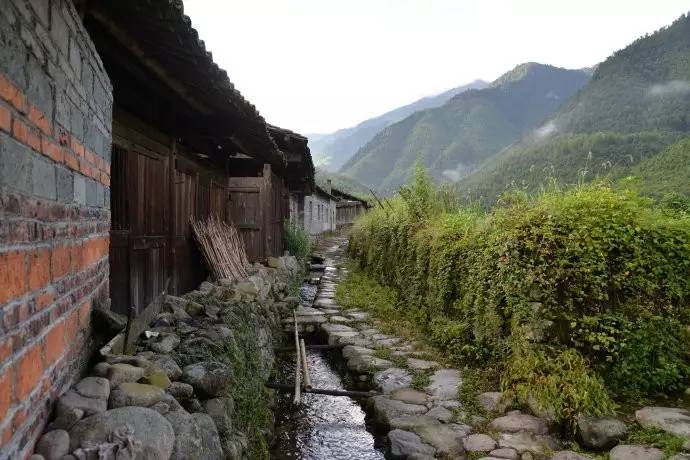 旅游 正文  司前乡岱坪村位于光泽县东北部,地处闽江上游富屯溪源头