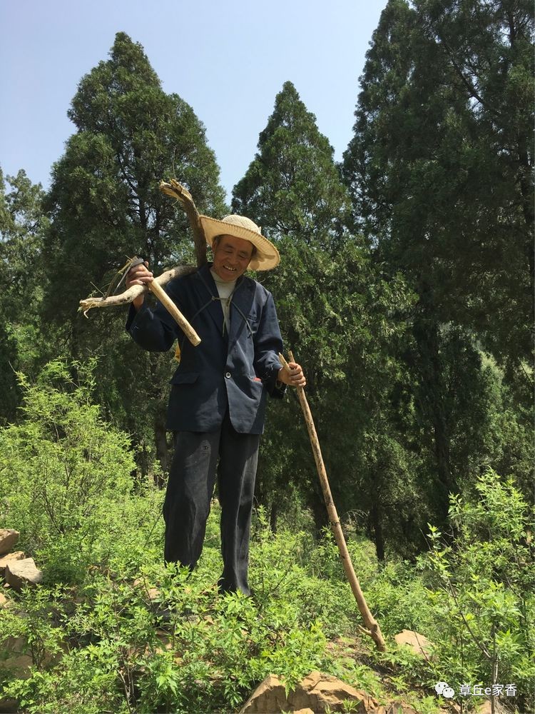 樵夫下山 收获颇丰