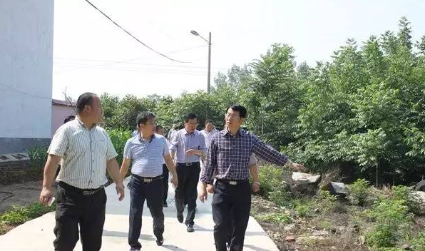 内乡县县长杨曙光实地督导城市道路建设