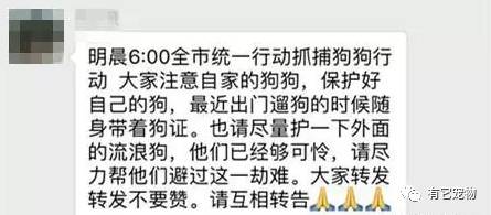 也在疯传打狗消息:再然后是苏州:紧接着,西安也展开了一系列打狗行动