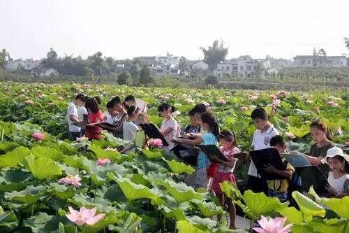 2017横峰县首届荷花旅游节开幕式:2017年7月7日8:30地点:横峰县莲荷乡