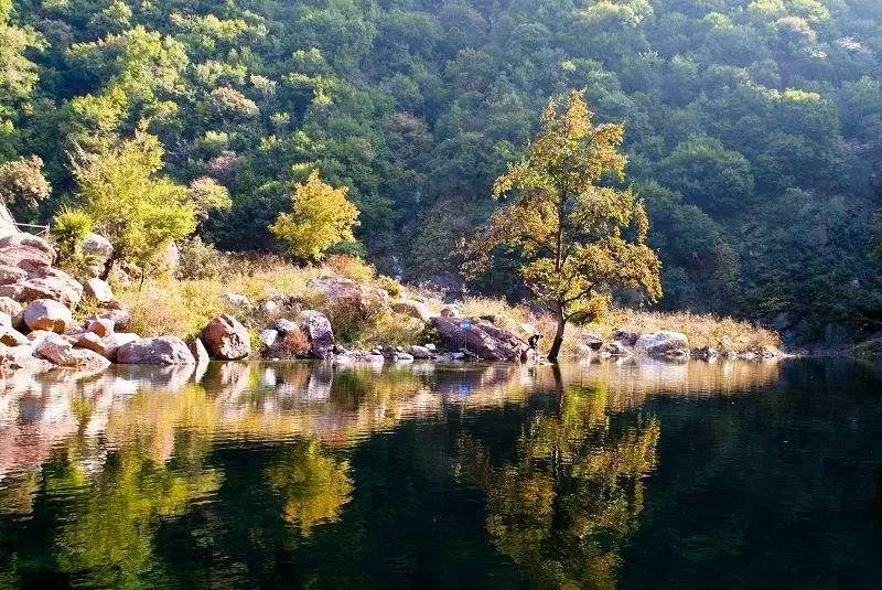 新节日出炉！济源超多景区全免费啦！只为庆祝“愚公移山纪念日”