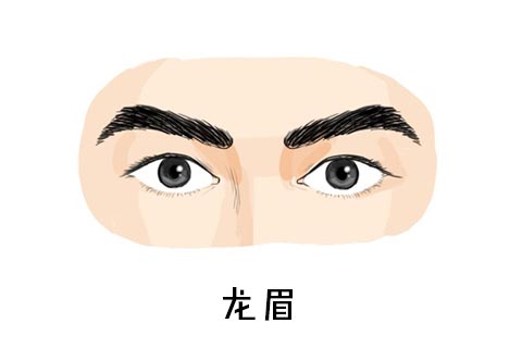 龙眉指皇帝眉,属于富贵之眉男人的最佳眉毛.