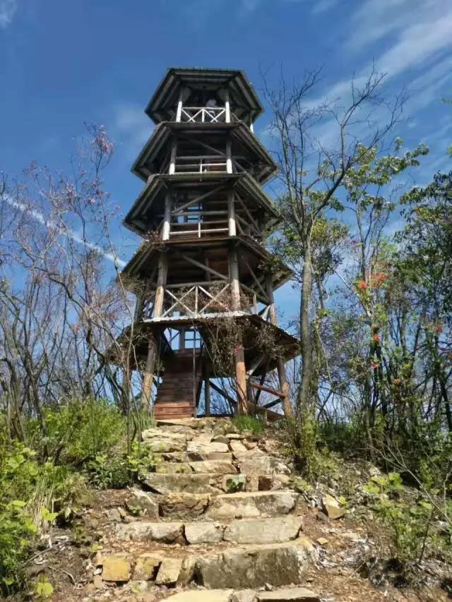 萍乡周边一日游推荐,白竺青草湖_搜狐旅游_搜狐网