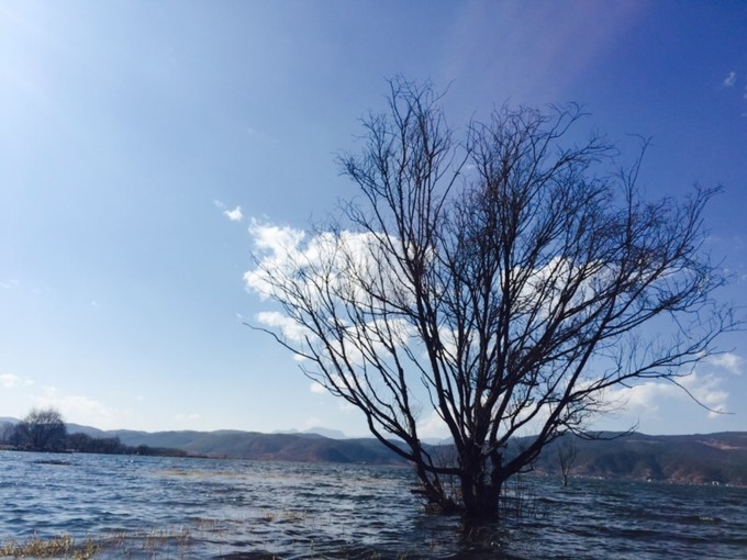 泸沽湖曲谱_泸沽湖水性杨花图片(3)