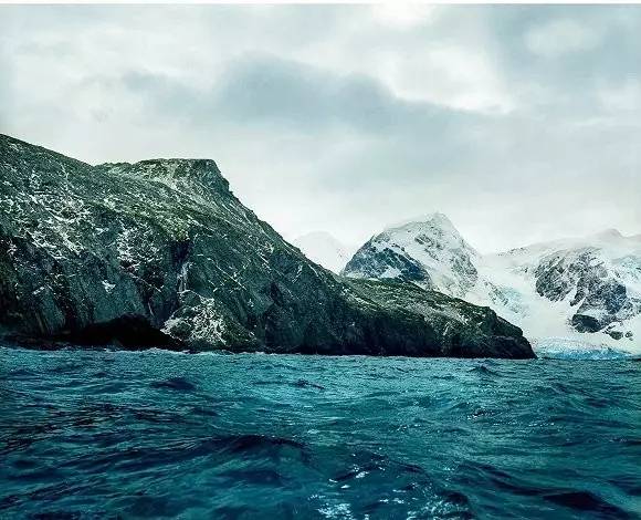 南极象岛的针叶离齿藓(5500岁"深时间:在宏大的时间维度面前人类
