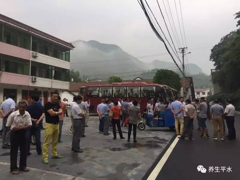 水定镇人口民族_人口老龄化图片