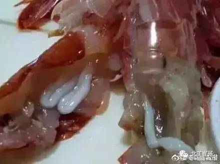 辟谣| 大妈从对虾头部挑出白色"长虫"的那个视频,原来