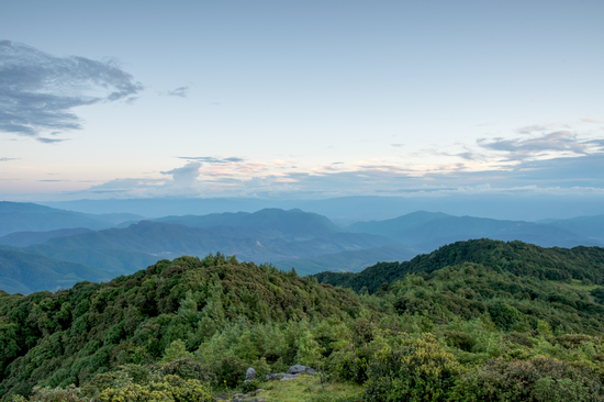 磨盘山国家森林公园 植物的天堂