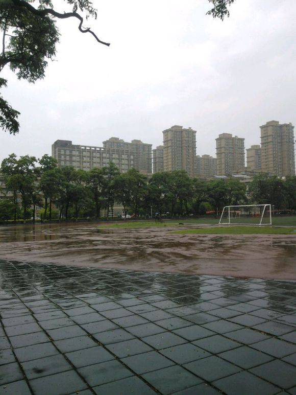 雨天总是带出淡淡的忧伤  分不清是窗外雨还是眼前泪