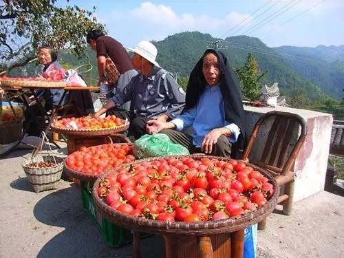 上海周边|这15个低调古镇，我可以玩一年！