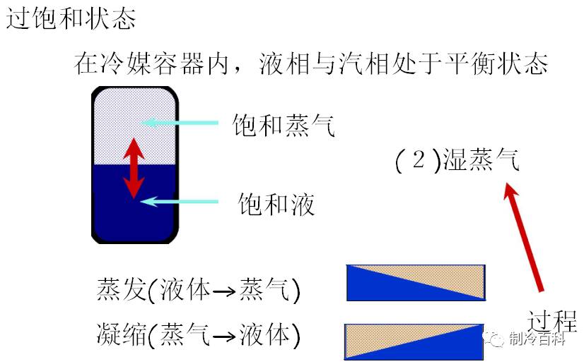 饱和蒸气