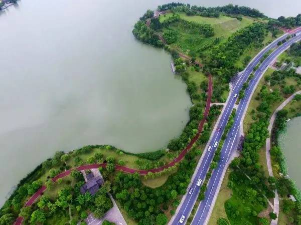 太幸福最美跑道升级版就在萧山旁边还有美炸的千亩花海