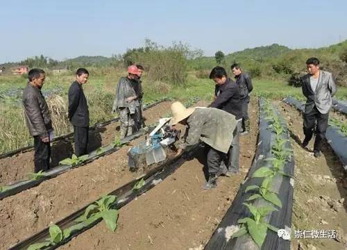 礼陂人口_陂洋镇龙潭村人口(2)