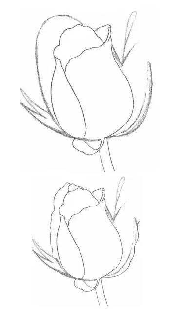 铅笔画:如何画一朵玫瑰花