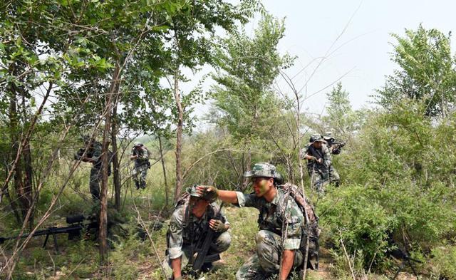 中国特种兵野外生存训练,能吃的都拿来吃,吃完检查身体