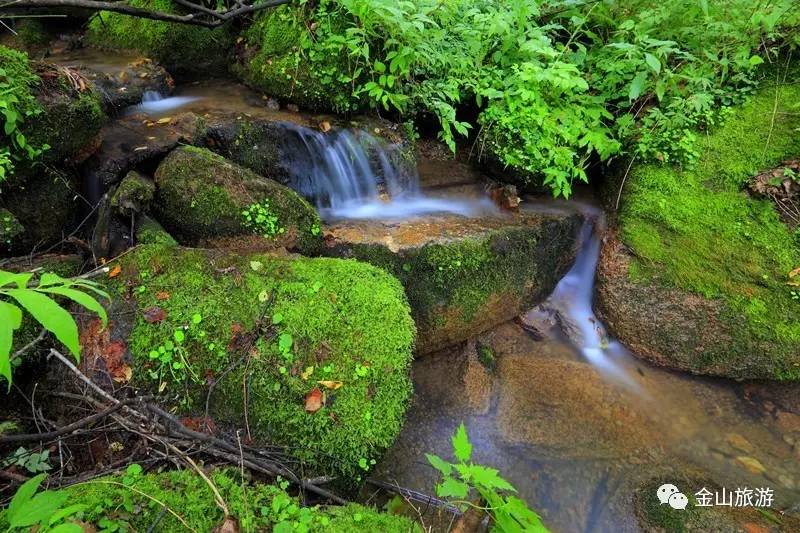 伊春○金山屯 ▏金山小镇夏季旅游学子专线献礼高考