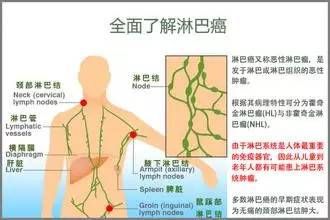 颈部淋巴堵塞怎么办