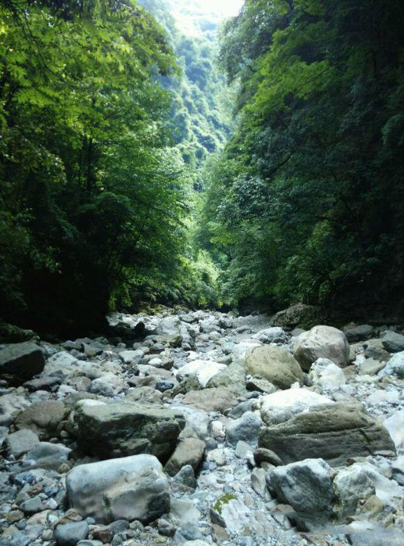 山路崎岖,古树参天,回到故乡,山溪冷水钓小鱼