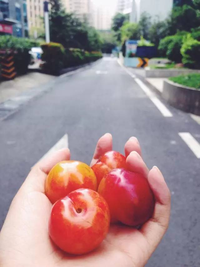 【小技能】夏天，这样拍照你会更美~