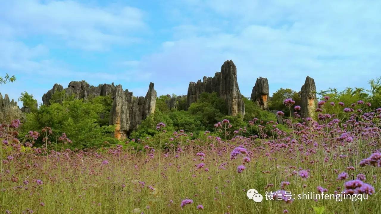 乃古石林景区