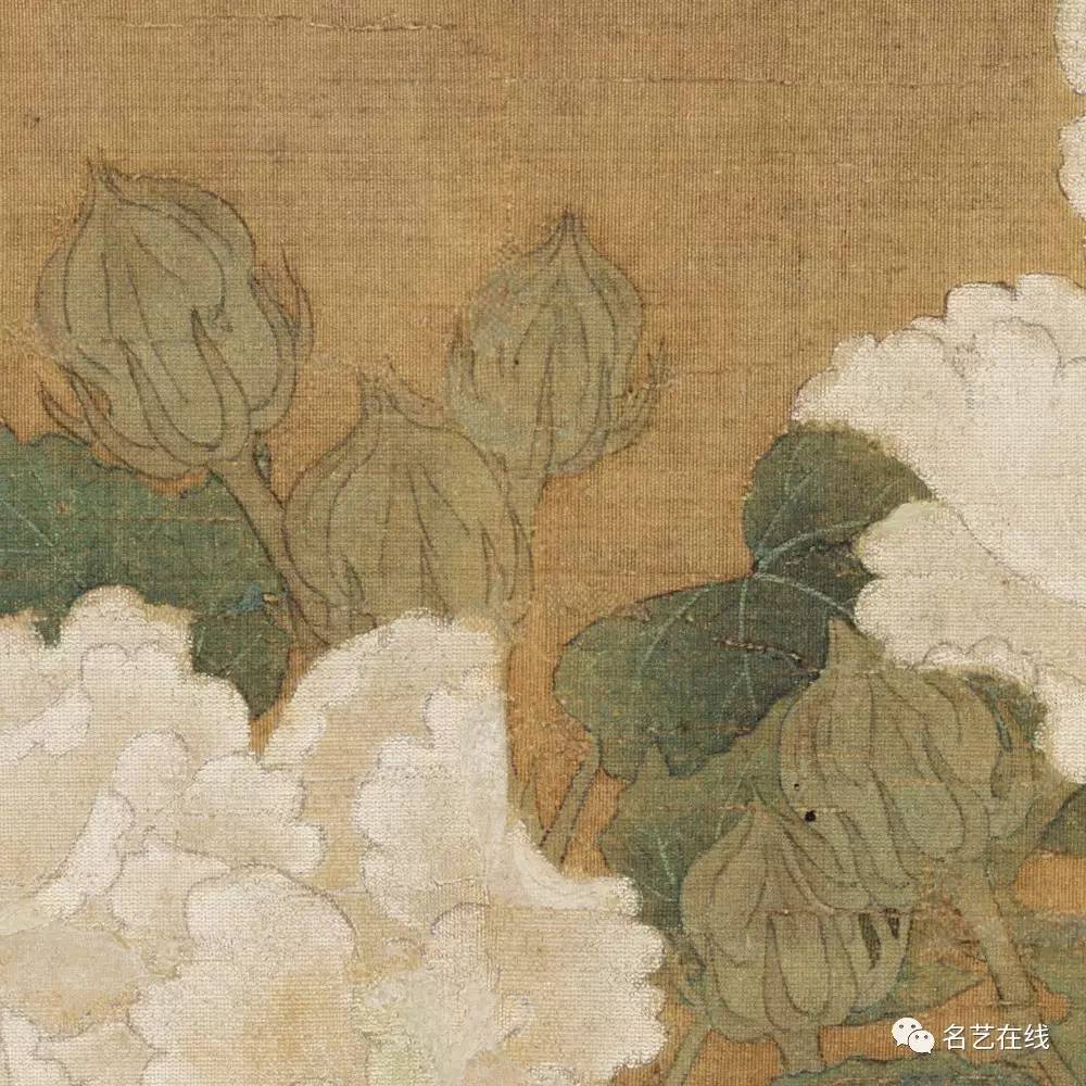 南宋 李迪 白芙蓉 55x55