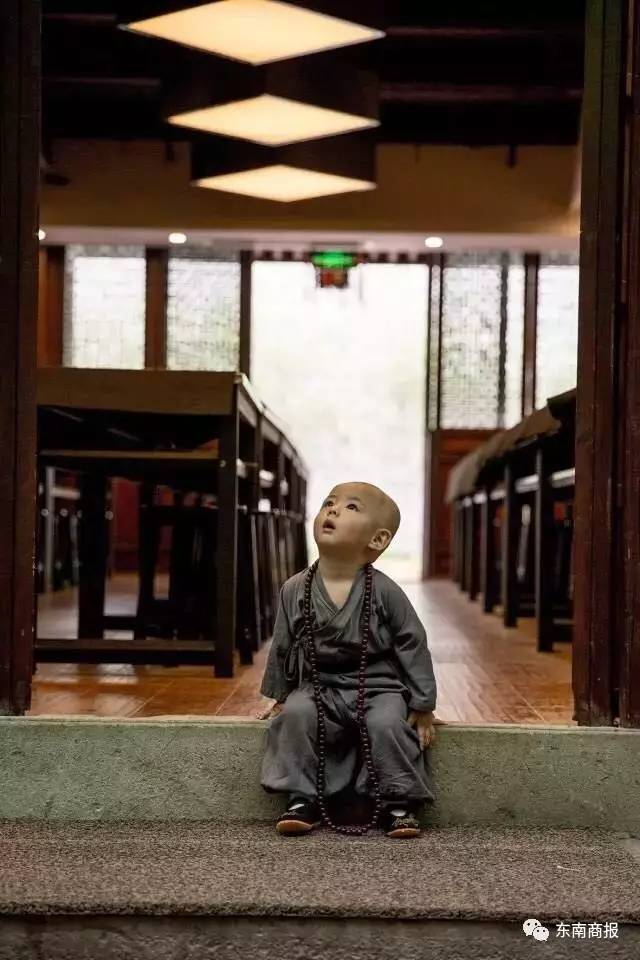 ↓↓↓↓↓↓       人家没有是实的小僧人,只是正在西禅寺拍艺术照