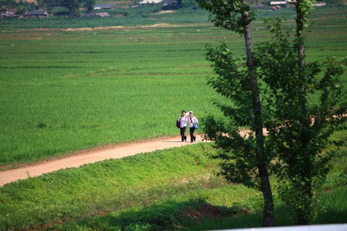 平壤郊外的农村:朝鲜农民的平凡生活