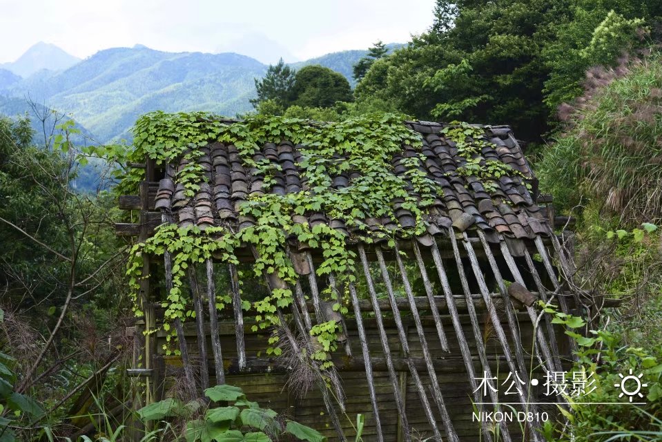 横峰多少人口_横峰火车站图片