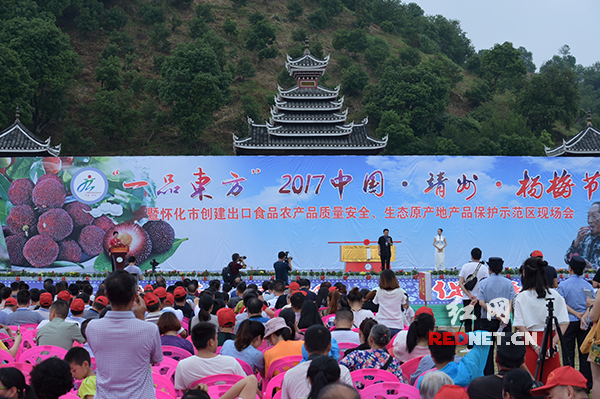 11日上午,2017中国靖州杨梅节在湖南省靖州县坳上镇开幕.
