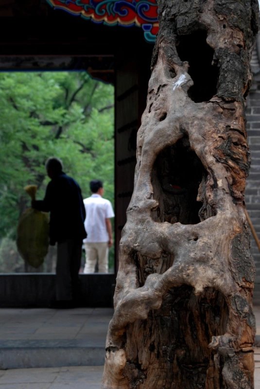 千年古刹少林寺